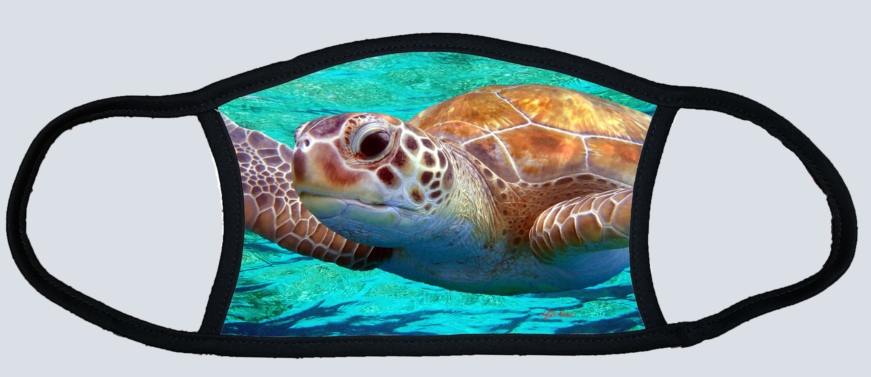 sea turtle full face mask